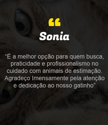 img-fundo