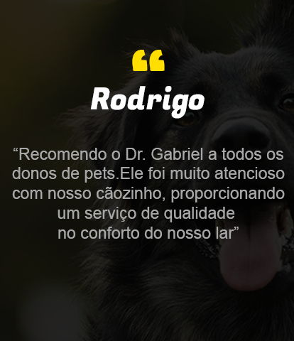 img-fundo2