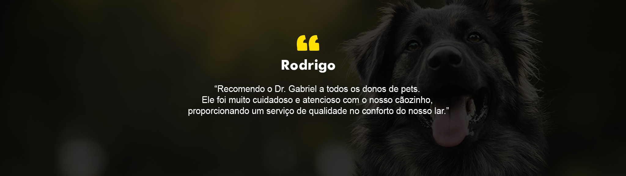 img-fundo2