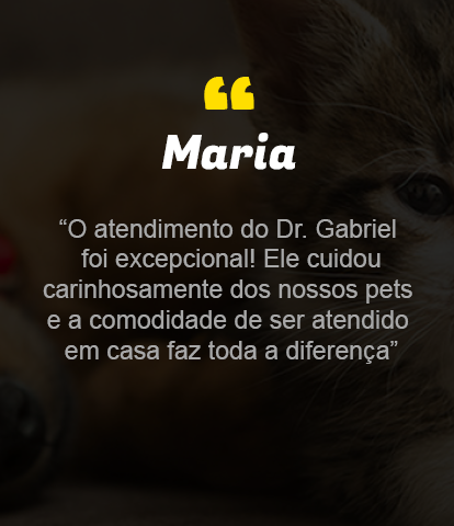 img-fundo3