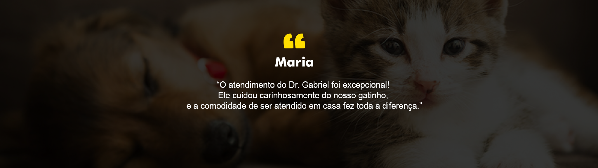 img-fundo3